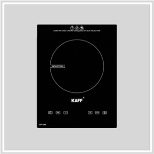 Bếp điện từ giá rẻ Bếp điện từ giá rẻ